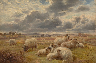 Dartmoor sheep; Robert WATSON; c. 1819; 1981.61