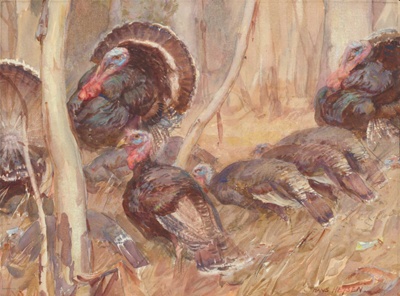 Bush turkeys; Hans HEYSEN; Not dated; 1986.09 © Estate of Hans Heysen / Copyright Agency, 2022