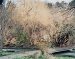 Lyric Theatre at Merri Creek (from the Lyric Theatre series) ; Siri HAYES; 2003; 2004.138