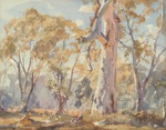 Spring in the bush, Hahndorf; Hans HEYSEN; 1929; 1980.21; © Estate of Hans Heysen / Copyright Agency, 2022