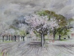 Spring blossoms, Mayford Green; Hilda CHANCELLOR-POPE; Our best efforts have been made to locate this work's copyright owner. If you have information please contact us at copyright@benalla.vic.gov.au