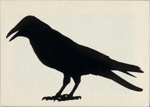 Crow (Shadow farm); Sally SMART; 2003; 2003.19 © Sally Smart / Copyright Agency, 2022