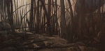 The Arc - aftermath of bushfires in the North East; Rick AMOR; 2003; 2003.15 © Image courtesy the artist and Niagara Galleries