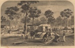 Myers Creek rush; Samuel CALVERT; c. 1867; 1993.025