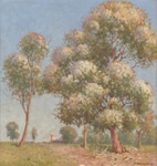 Flowering gums; W. LISTER LISTER; c. 1874 - 1943; 1980.28