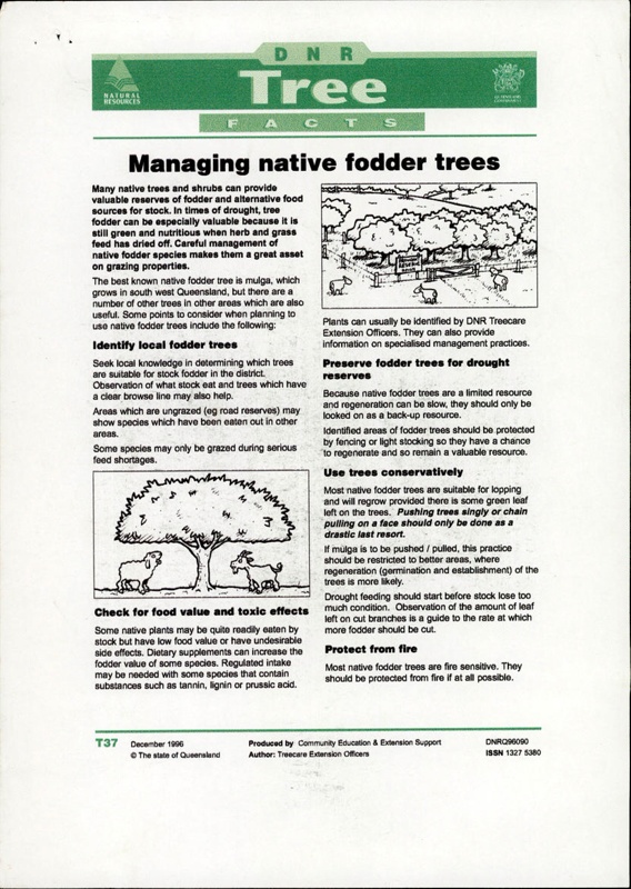 department-of-natural-resources-queensland-dnr-tree-facts-brochure