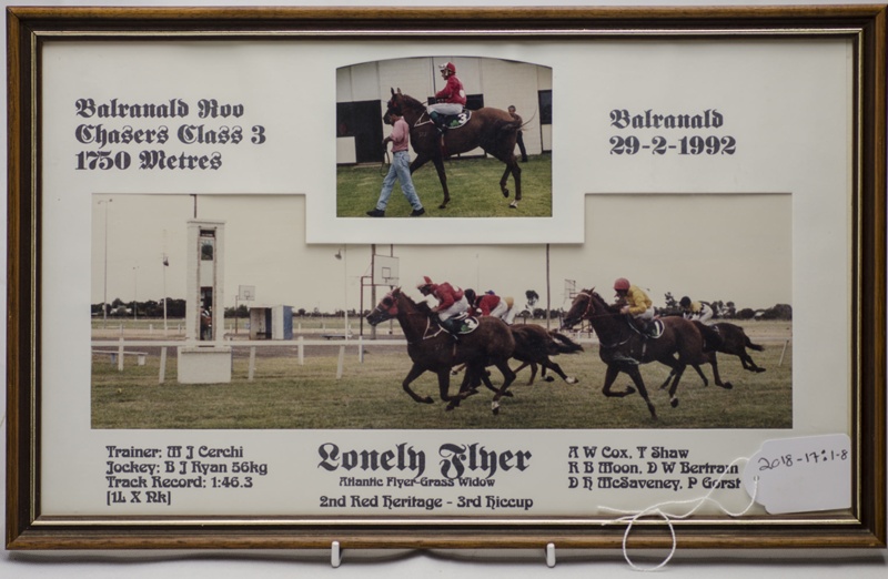 What Is A Chaser In Horse Racing at Alice Epperson blog