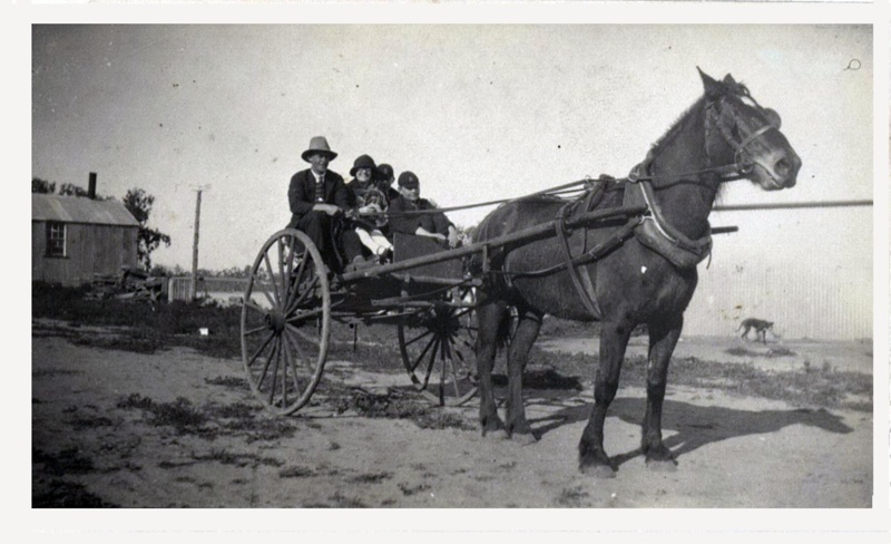 Photograph Album Life at Yanga 1925-1927; Horse drawn buggy; Alice ...