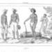 Indigeni c1842; I000003 