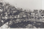 Semi broch at rhiroy; ULMPH 2000 0587 