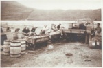 Gutters working Above caravan park West Terrace; 1950?; ULMPH 2000 0597 
