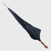 Accessories, gentleman's umbrella; unknown maker; ?; RX.1998.24.1