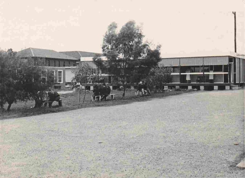 1973-trinity-high-school-2023-852-ehive