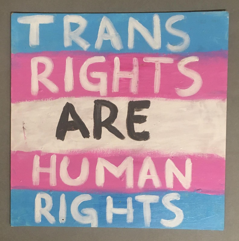 Placard: Trans Rights Are Human Rights; 2023; GWL-2023-57-6