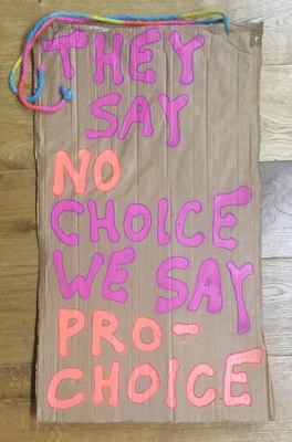 Placard: They Say No Choice - We Say Pro-Choice; McAllister, Danielle; 2023; GWL-2023-46-1