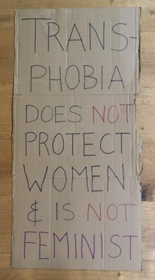 Placard: Transphobia Does Not Protect Women; 2023; GWL-2023-88-4