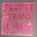 Placard: Protect Trans Lives; 2023; GWL-2023-57-6