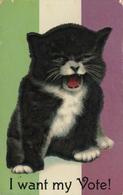 Postcard front: I want my Vote!; c.1904-10; GWL-2024-77-1