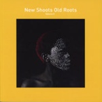 Front cover of New Shoots Old Roots Vol II; African and Caribbean Women's Association (ACWA); 978-189772-312-8; GWL-2021-48