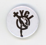 Badge: TYCI; TYCI; c.2012-17; GWL-2019-59-59