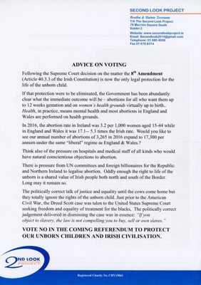 Document: Advice on Voting; Second Look Project; c.2018; GWL-2022-152-19