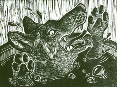 Wolf Drowning in Cauldron by Normandie Syken