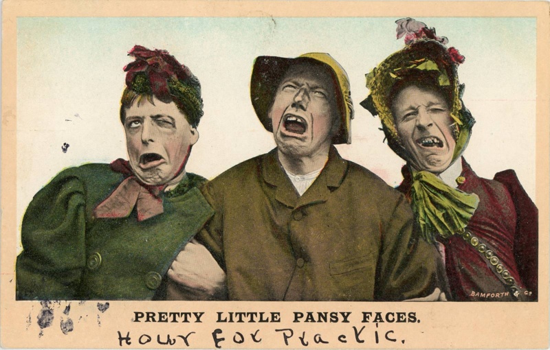 Postcard: Pretty Little Pansy Faces; Bamforth & Co Ltd; GWL-2022-26-18