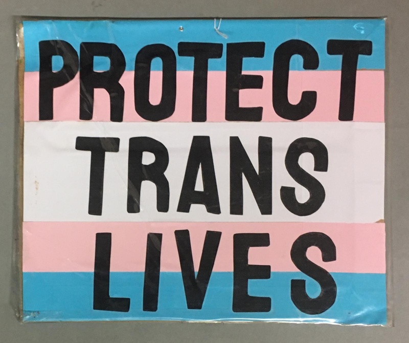 Placard: Protect Trans Lives; 2023; GWL-2023-57-19