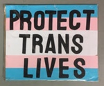 Placard: Protect Trans Lives; 2023; GWL-2023-57-19