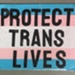 Placard: Protect Trans Lives; 2023; GWL-2023-57-19