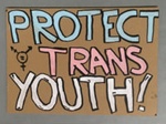 Placard: Protect Trans Youth; 2023; GWL-2023-57-10