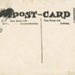 Postcard (back): The Suffragette. Secretaryess of Treasury; Walter Wellman; 1909; GWL-2010-65