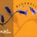 Audio CD cover: Bluebell / Kittlin; Lesley O'Brien; 2017; GWL-2024-44-2