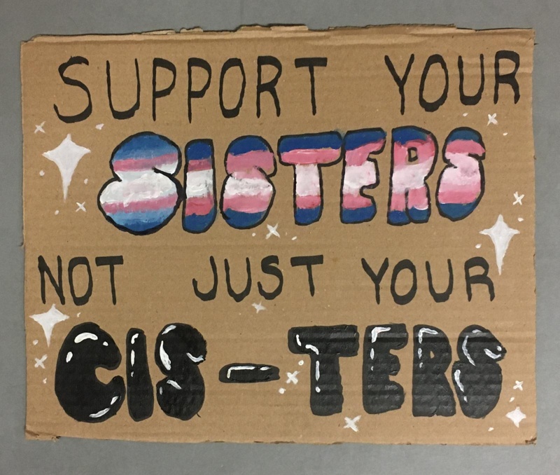 Placard: Support Your Sisters, Not Just Your Cis-ters; 2023; GWL-2023-57-11