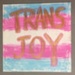 Placard: Trans Joy; 2023; GWL-2023-57-7