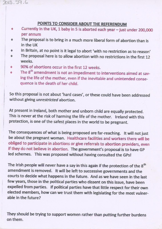 Flyer: Points to Consider About the Referendum; Unknown; c.2018; GWL-2018-59-6