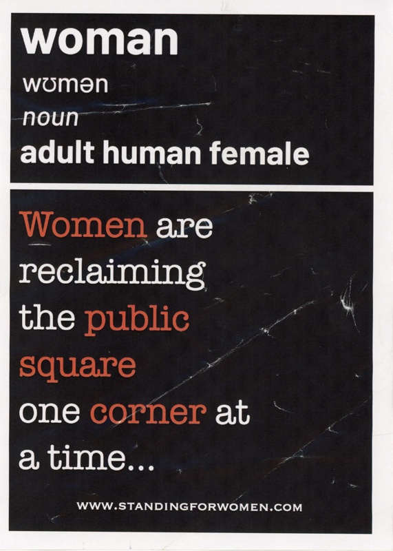 Flyer Adult Human Female Standing For Women 2023 Gwl 2023 15 2 Ehive 6237