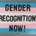 Placard: Protect Trans Lives; 2023; GWL-2023-57-19