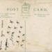 Postcard (back): When Woman dons the Trousers; Millar & Lang Ltd; GWL-2022-26-15