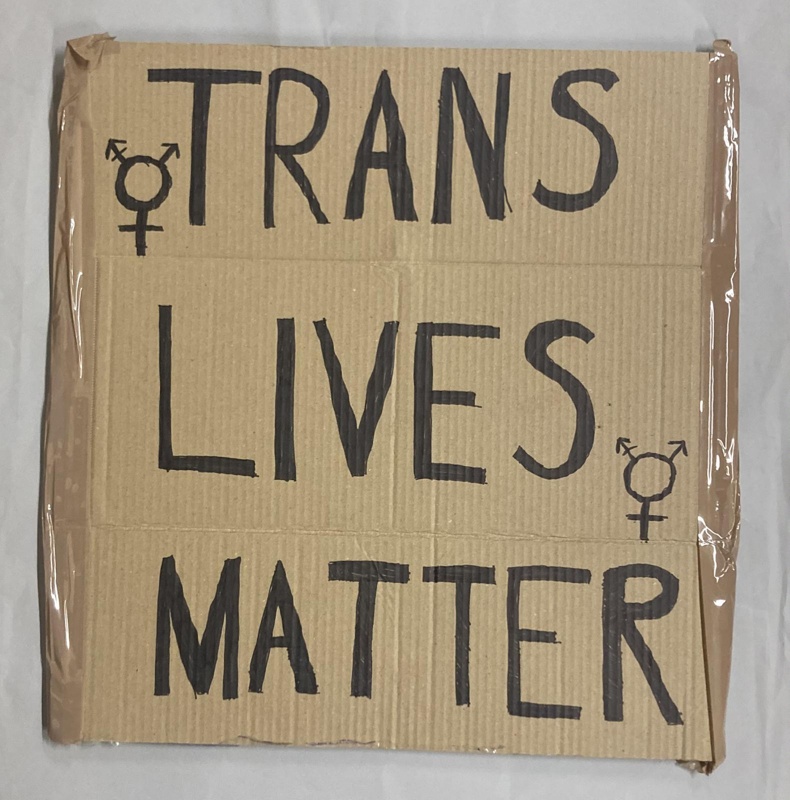 Placard: Trans Lives Matter; Solidarity Salon participant; 2025; GWL-2025-71-6