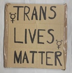 Placard: Trans Lives Matter; Solidarity Salon participant; 2025; GWL-2025-71-6