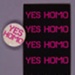 Badge and card: Yes Homo; WickedQueer; GWL-2015-2-1