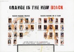 Poster (top): Orange Is the New Block; Vagine Regime UK; 2014; GWL-2018-60-40