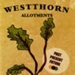 Leaflet cover: Westthorn Allotments; Glasgow Allotments Heritage Project; GWL-2020-48-4-3
