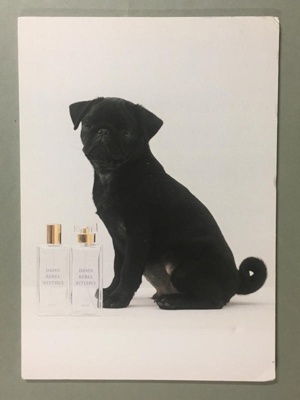 Advert: REEK Perfume; REEK perfume; GWL-2020-44-16