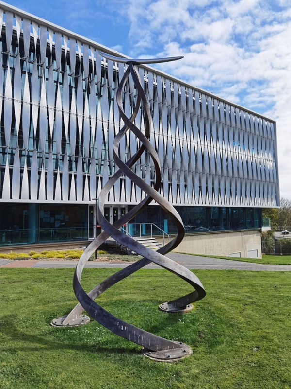 The University of Waikato Art Collection & Gallagher Academy of Performing Arts