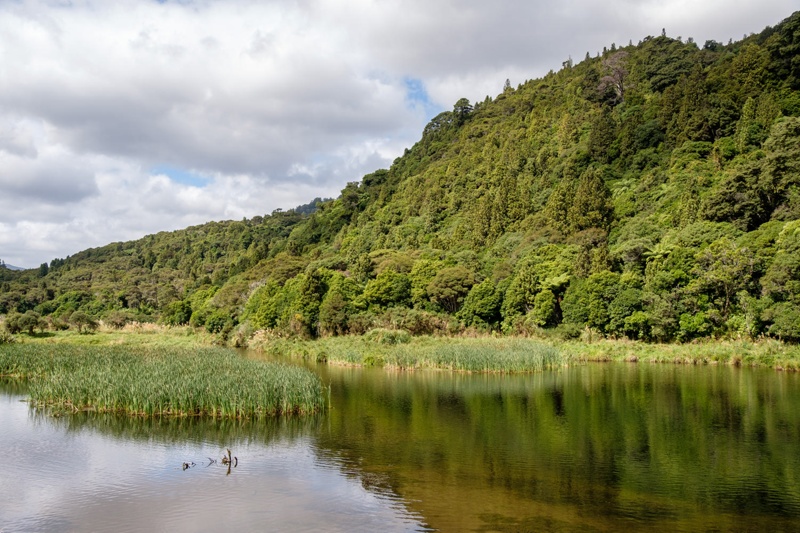 Wainuiomata Water Museum 