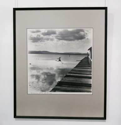Photograph, 'Souvenir of the Entrance' ; Dupain, Max; 1976; H00