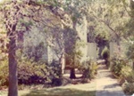 Garden at 41 Avondale Street, Hampton; Venn family; 1954; P12331