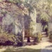 Garden at 41 Avondale Street, Hampton; Venn family; 1954; P12331
